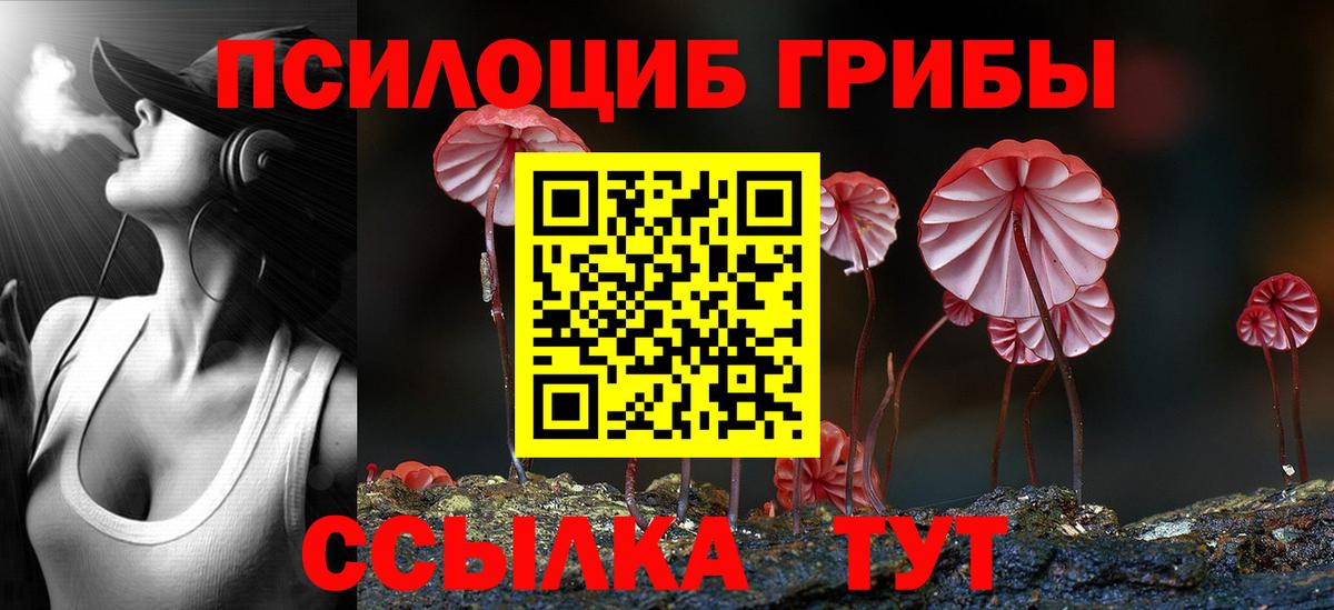 Выкса  Псилоцибиновые грибы ЛСД  Галлюциногенные грибы ЛСД  Вход с VPN 