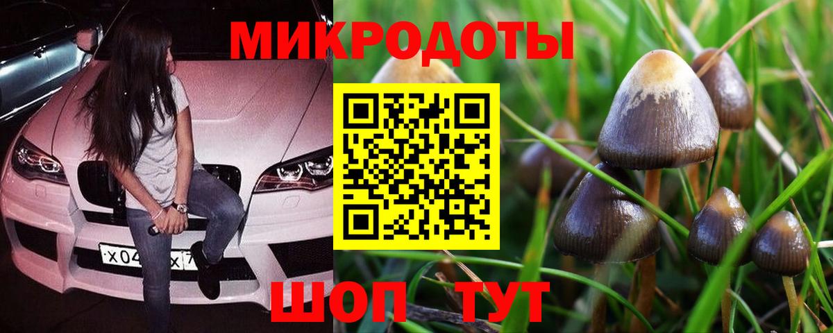 Псилоцибиновые грибы мухоморы Выкса